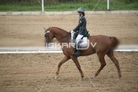 IMG_4074.jpg
