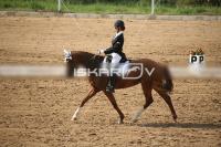 IMG_4072.jpg