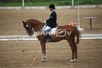 IMG_4079.jpg