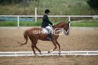 IMG_4084.jpg