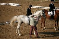 IMG_4123.jpg