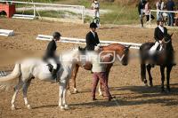 IMG_4125.jpg
