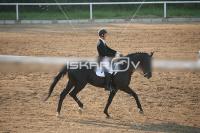 IMG_4133.jpg