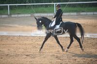 IMG_4135.jpg