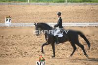 IMG_4142.jpg