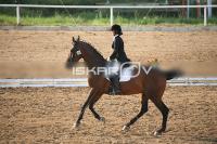 IMG_4150.jpg