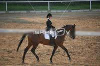 IMG_4152.jpg