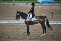 IMG_4164.jpg