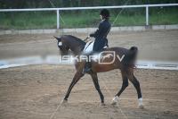 IMG_4173.jpg