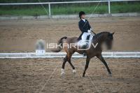 IMG_4175.jpg