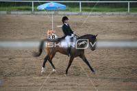 IMG_4178.jpg