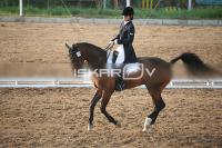 IMG_4191.jpg