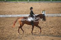 IMG_4203.jpg