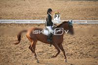 IMG_4210.jpg