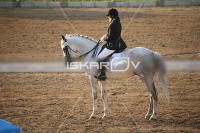 IMG_4216.jpg