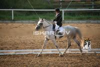 IMG_4220.jpg