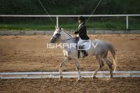 IMG_4221.jpg