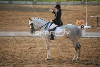 IMG_4224.jpg