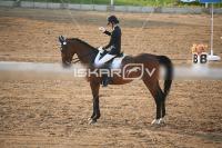 IMG_4227.jpg