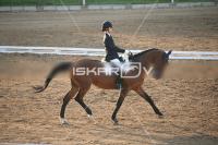 IMG_4229.jpg