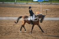 IMG_4234.jpg
