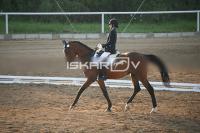 IMG_4233.jpg