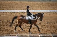 IMG_4237.jpg