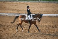 IMG_4235.jpg