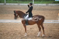 IMG_4251.jpg