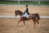 IMG_4250.jpg