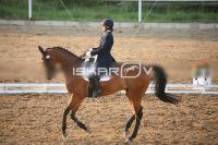 IMG_4264.jpg