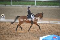 IMG_4267.jpg