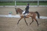 IMG_4269.jpg