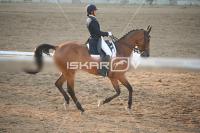 IMG_4276.jpg