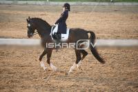 IMG_4279.jpg