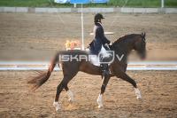 IMG_4285.jpg