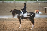 IMG_4305.jpg