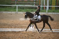 IMG_4323.jpg