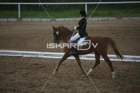 IMG_4335.jpg