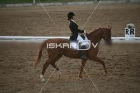 IMG_4332.jpg