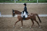 IMG_4342.jpg