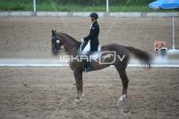 IMG_4361.jpg
