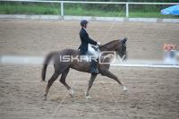 IMG_4367.jpg