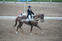 IMG_4370.jpg