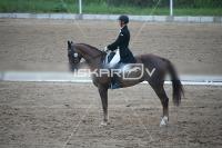 IMG_4380.jpg
