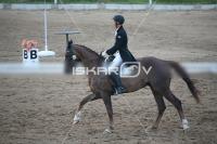 IMG_4376.jpg