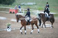 IMG_4383.jpg