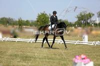 CD0A4114.jpg