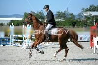 IMG_1299.jpg