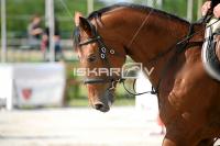 IMG_1586.jpg